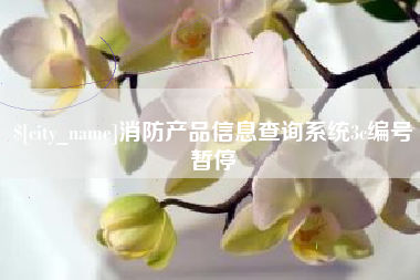 珠海消防产品信息查询系统3c编号暂停