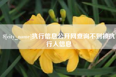 珠海执行信息公开网查询不到被执行人信息