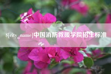 珠海中国消防救援学院招生标准