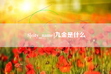 珠海九金是什么
