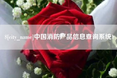 珠海中国消防产品信息查询系统1