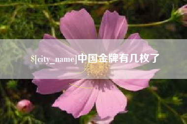 珠海中国金牌有几枚了