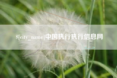 珠海中国执行执行信息网