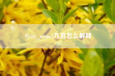 珠海九宫怎么解释