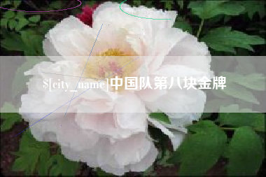 珠海中国队第八块金牌