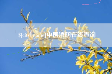 珠海中国消防在线查询