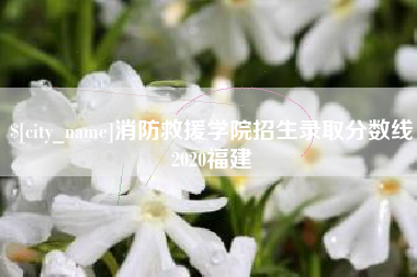 珠海消防救援学院招生录取分数线2020福建