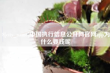 珠海中国执行信息公开网官网app为什么要钱呢