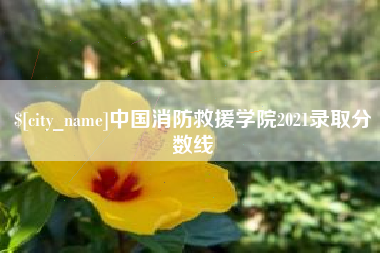 珠海中国消防救援学院2021录取分数线