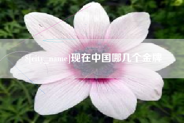 珠海现在中国哪几个金牌