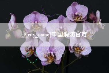 珠海中国消防官方