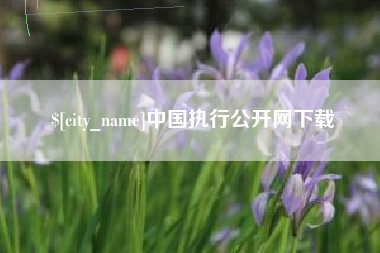 珠海中国执行公开网下载