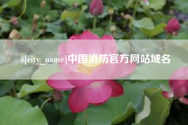 珠海中国消防官方网站域名