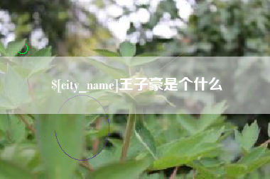 珠海王子豪是个什么