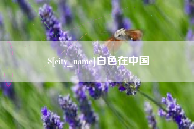 珠海白色在中国