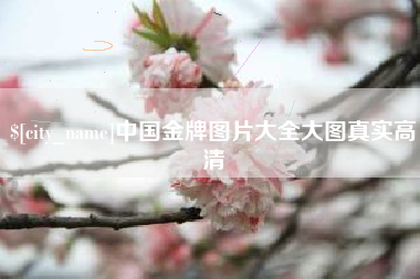 珠海中国金牌图片大全大图真实高清