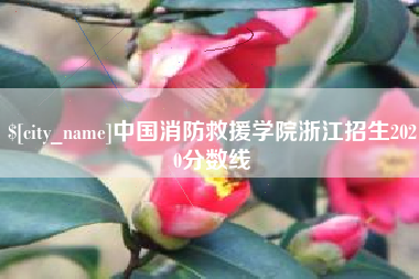 珠海中国消防救援学院浙江招生2020分数线