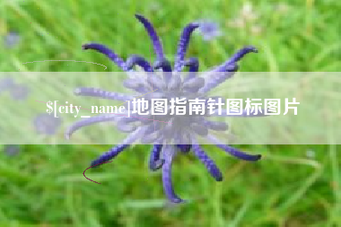珠海地图指南针图标图片