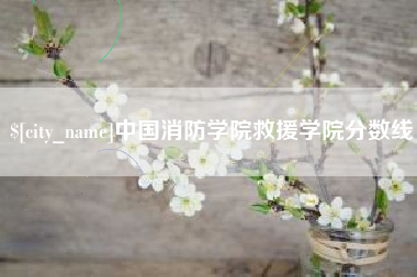 珠海中国消防学院救援学院分数线
