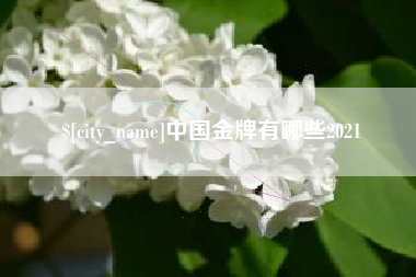 珠海中国金牌有哪些2021