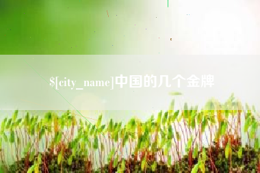 珠海中国的几个金牌