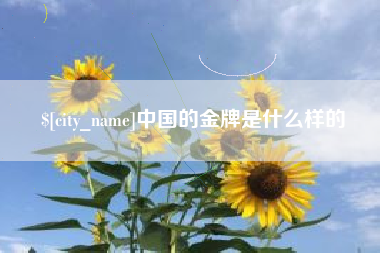 珠海中国的金牌是什么样的