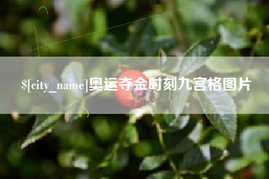 珠海奥运夺金时刻九宫格图片