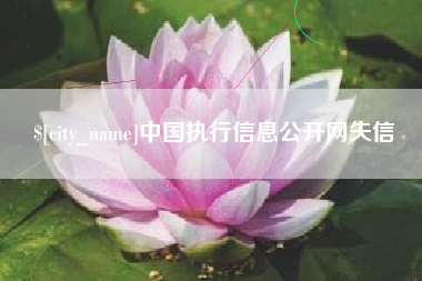 珠海中国执行信息公开网失信