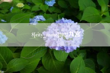 珠海2022九宫