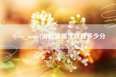 珠海消防救援学院要多少分