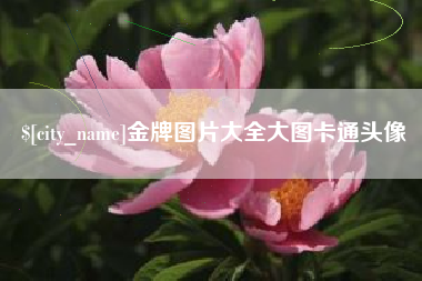 珠海金牌图片大全大图卡通头像