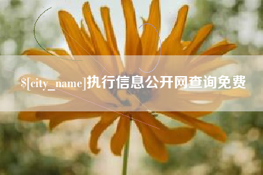 珠海执行信息公开网查询免费