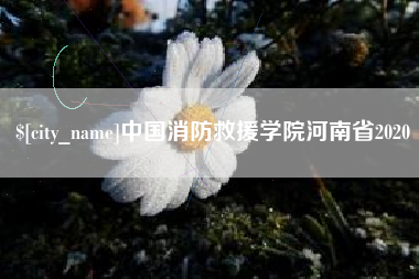 珠海中国消防救援学院河南省2020